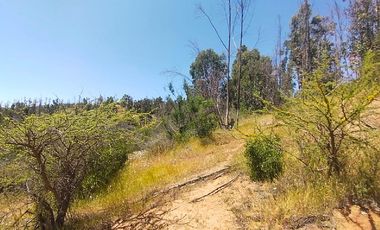 Parcela en Venta en LINCOYAN 425