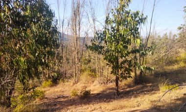 Sitio en Venta en OPORTUNIDAD  PARCELAS VERDE MAR, LIMACHE.