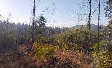 Sitio en Venta en OPORTUNIDAD  PARCELAS VERDE MAR, LIMACHE.