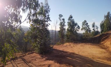 Sitio en Venta en OPORTUNIDAD  PARCELAS VERDE MAR, LIMACHE.