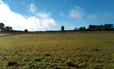 Sitio en Venta en PARCELACIÓN LINEA BALMACEDA