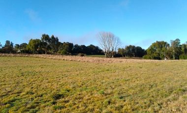 Sitio en Venta en PARCELACIÓN LINEA BALMACEDA