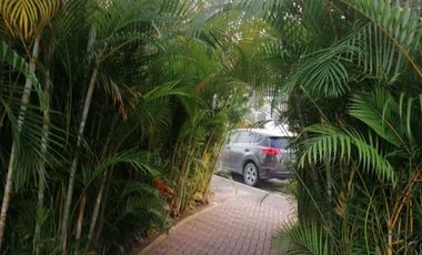 Se vende o se renta Ceibas Vallarta