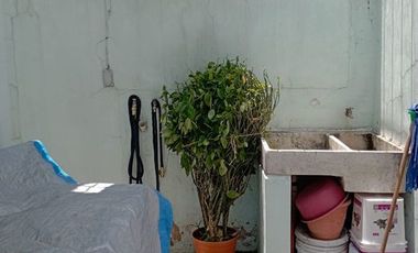 Parque real acogedora ????