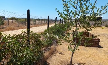 Parcela en Venta en LITUECHE