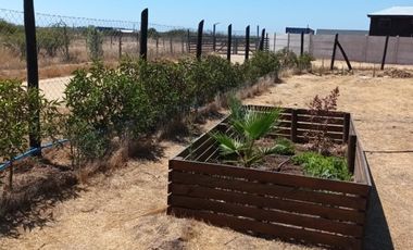 Parcela en Venta en LITUECHE