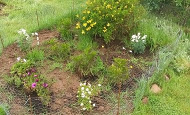 Parcela en Venta en LITUECHE