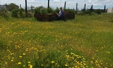 Parcela en Venta en LITUECHE