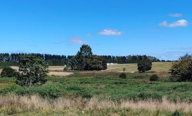 Parcela en Venta en SE VENDEN PARCELAS CONDOMINIO LANDHAUS, PUERTO VARAS