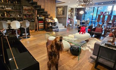 Renta de PH AMUEBLADO en Polanco