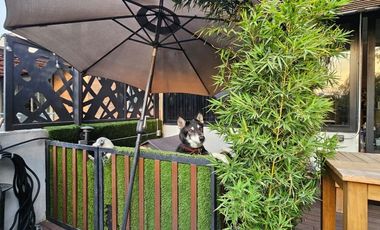 Renta de PH AMUEBLADO en Polanco