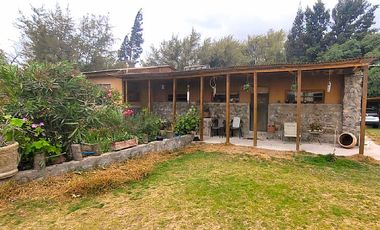 Parcela en Venta en PARCELA CON DOS CASAS LAS ROJAS VALLE DEL ELQUI