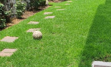 CASA EN RENTA EN LOS ALPES/LAS AGUILAS