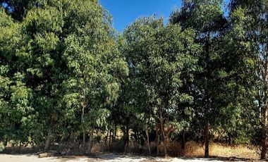 Parcela en Venta en COLIN TALCA