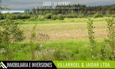 Parcela en Venta en YERBAS BUENAS, REGIÓN DEL MAULE