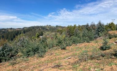Sitio en Venta en LOMAS DE MILLAHUE
