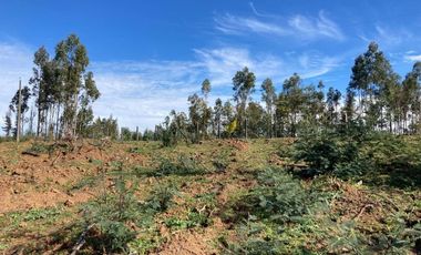 Sitio en Venta en LOMAS DE MILLAHUE