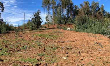 Parcela en Venta en LOMAS DE MILLAHUE