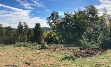 Parcela en Venta en LOMAS DE MILLAHUE