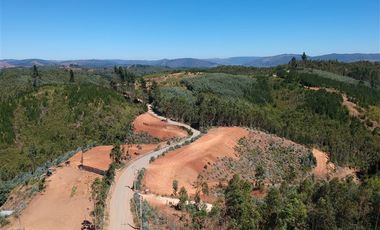 Parcela en Venta en LOMAS DE MILLAHUE