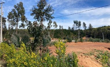 Parcela en Venta en LOMAS DE MILLAHUE