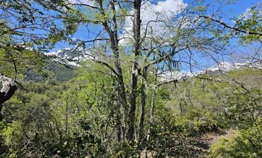 Sitio en Venta en SECTOR SHANGRI-LA