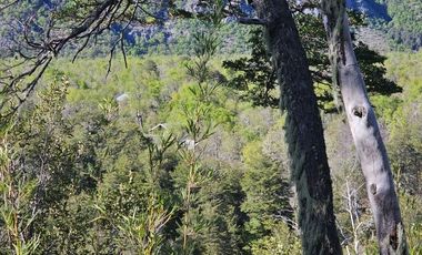 Sitio en Venta en SECTOR SHANGRI-LA