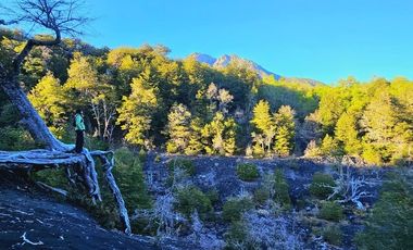 Sitio en Venta en SECTOR SHANGRI-LA