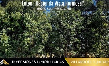 Parcela en Venta en Región del Maule. (Colín-Talca).