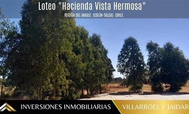 Parcela en Venta en Región del Maule. (Colín-Talca).