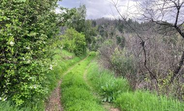 Sitio en Venta en Nueva Aldea, Ránquil