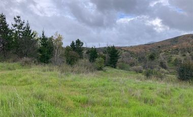 Sitio en Venta en Nueva Aldea, Ránquil