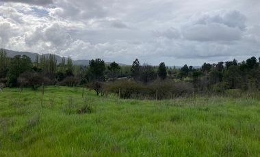 Sitio en Venta en Nueva Aldea, Ránquil