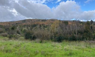 Sitio en Venta en Nueva Aldea, Ránquil