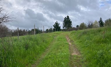 Sitio en Venta en Nueva Aldea, Ránquil