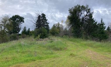 Sitio en Venta en Nueva Aldea, Ránquil