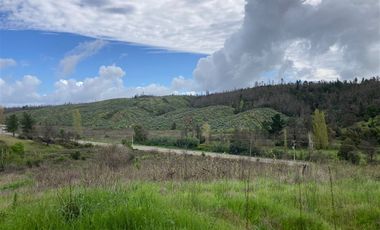 Sitio en Venta en Nueva Aldea, Ránquil