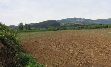 Sitio en Venta en mesamavida