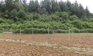 Sitio en Venta en mesamavida