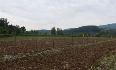 Sitio en Venta en mesamavida