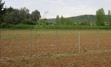 Sitio en Venta en mesamavida