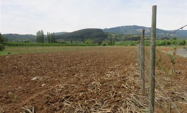 Sitio en Venta en mesamavida