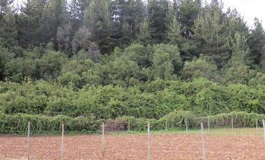 Sitio en Venta en mesamavida