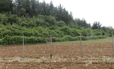 Sitio en Venta en mesamavida