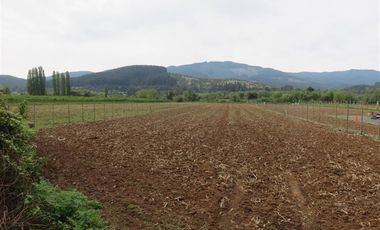 Sitio en Venta en mesamavida