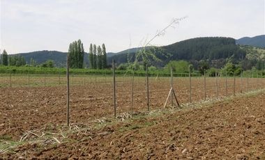 Sitio en Venta en mesamavida