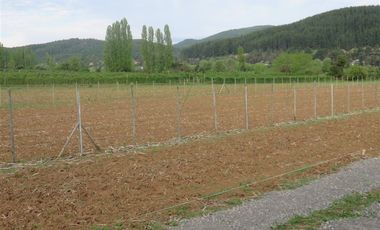 Sitio en Venta en mesamavida