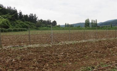 Sitio en Venta en mesamavida