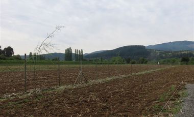 Sitio en Venta en mesamavida