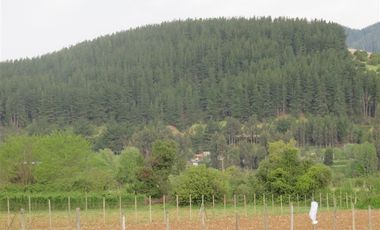 Sitio en Venta en mesamavida